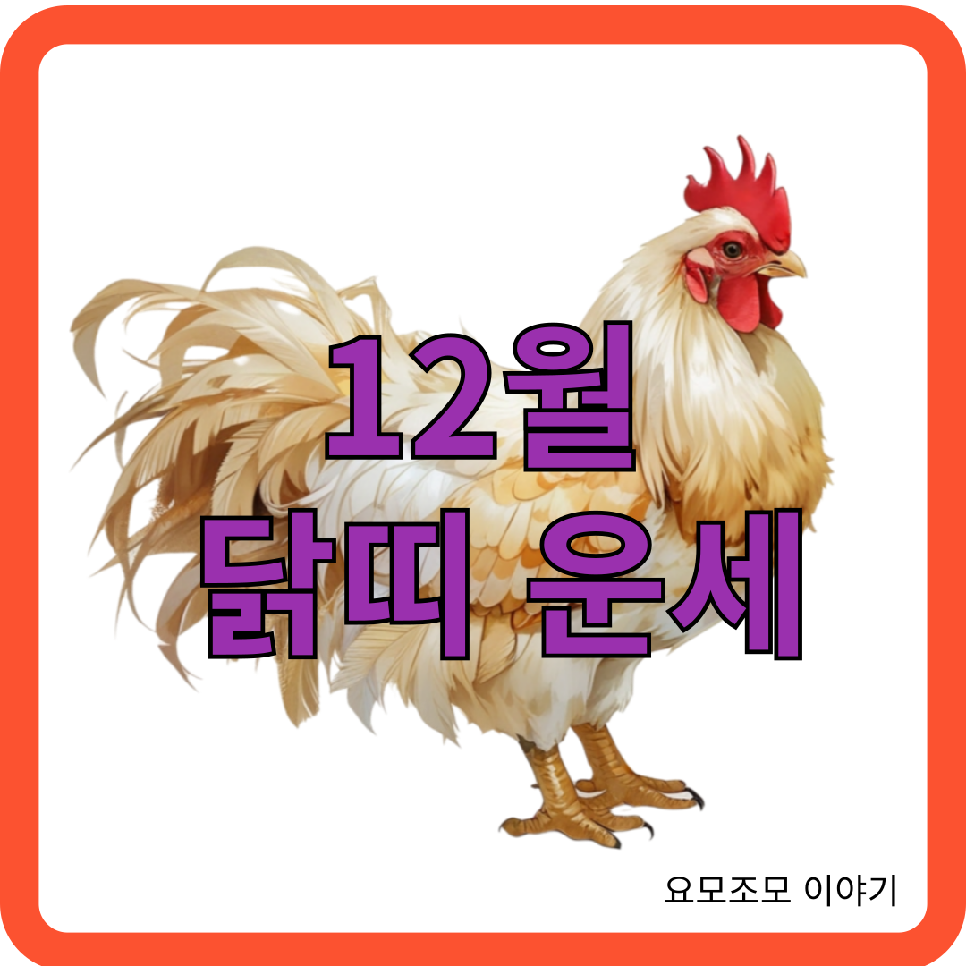 닭띠-운세-12월-운세