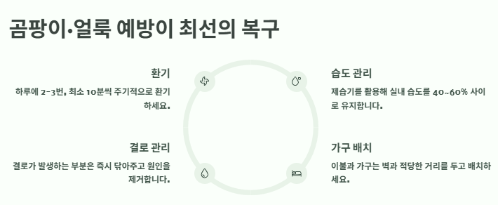 벽지 곰팡이 제거, 얼룩(모기자국,음식,낙서 등) 제거방법: 벽지 청소법