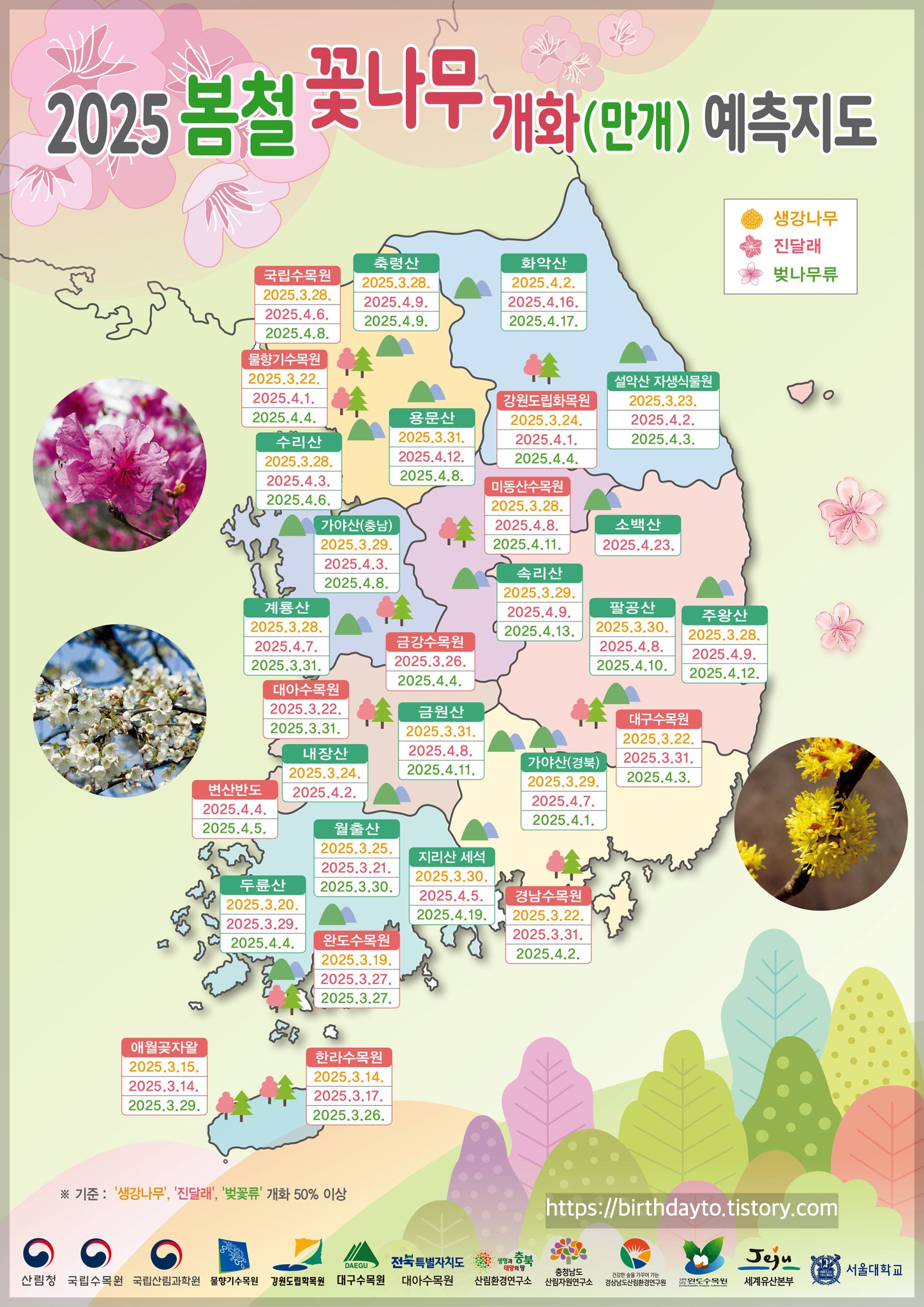 산침청 제공 2025년 대한민국 벛꽃지도 관련