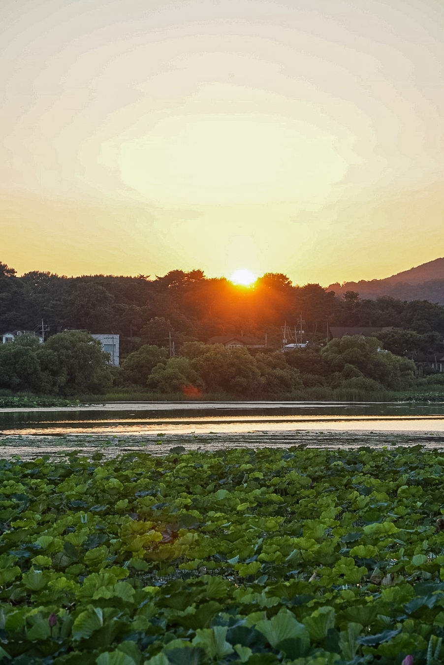 보통리 저수지