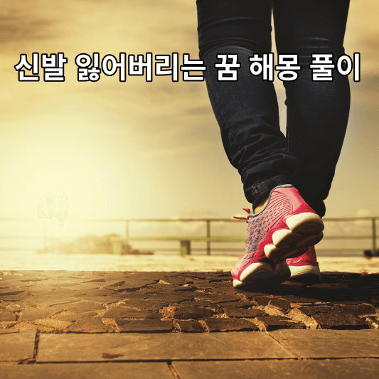 신발 잃어버리는 꿈 해몽