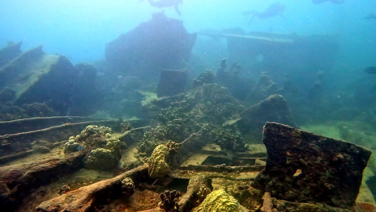 Wrecked Ship
