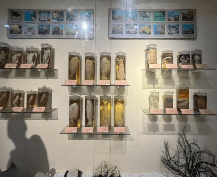 겨울 동남아 해외여행지 베트남 다낭