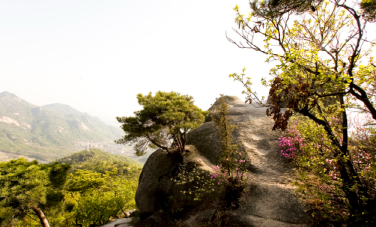 수락산 등산코스