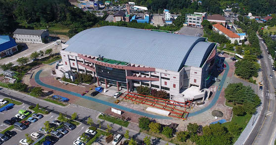 생방송투데이 강릉 빠니보틀