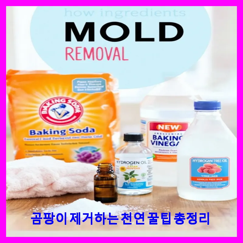 곰팡이 제거하는 천연 꿀팁 총정리