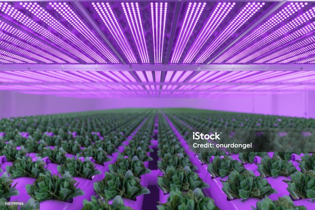 도시 농업과 지속 가능성: 자원 고갈 문제의 해결책