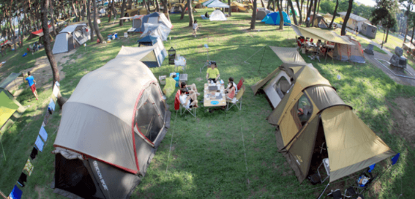 국내 여름 휴가 여행지 추천! 올여름 충북 영동에서 만나는 청정 피서지