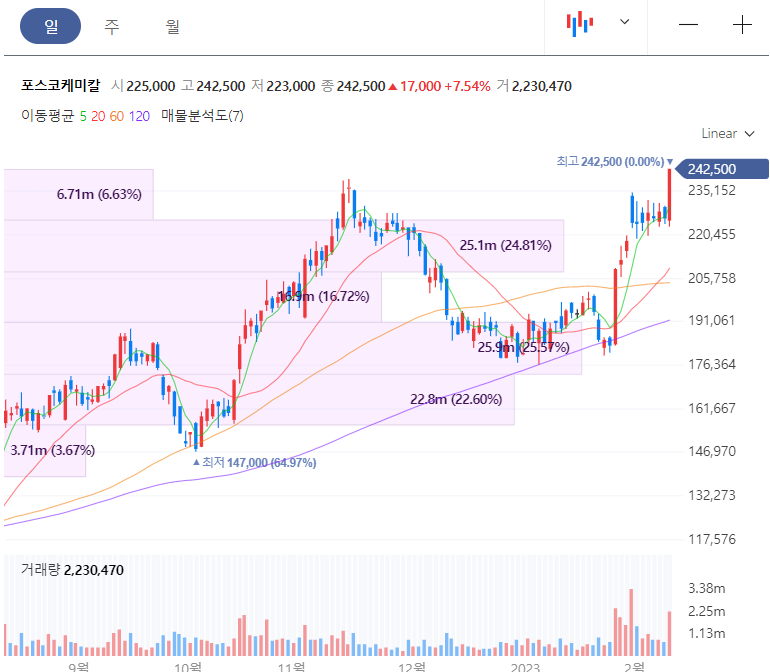 포스코케미칼-주가-일간-차트
