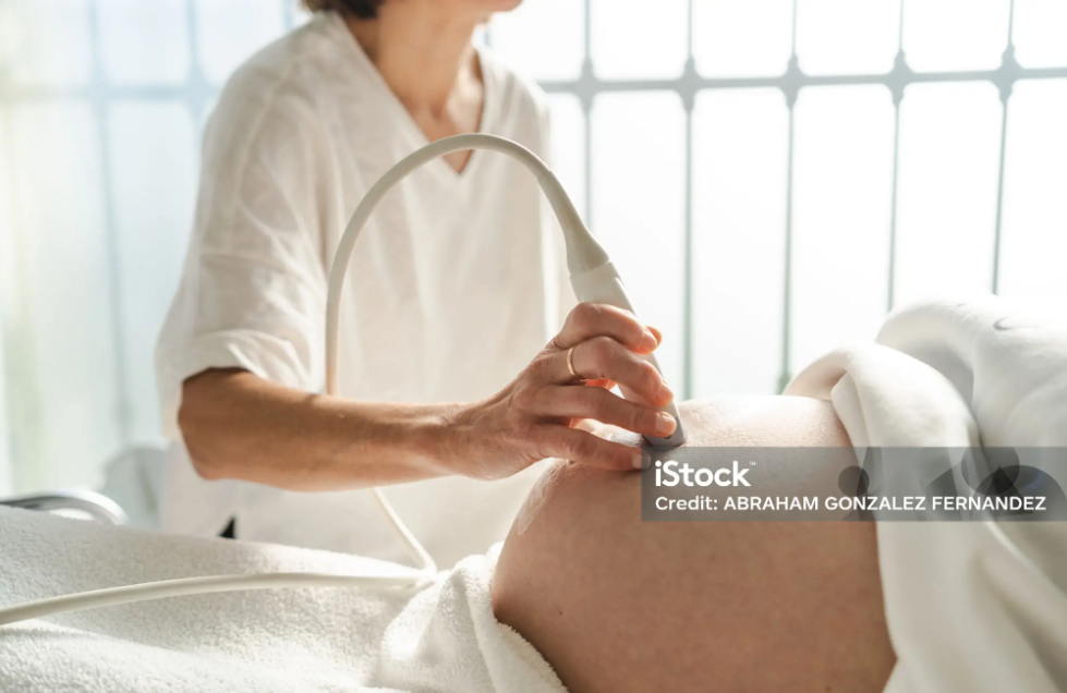 임산부 검사 사진