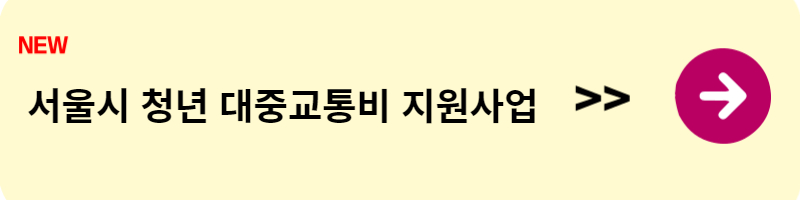 청년 대중교통 지원