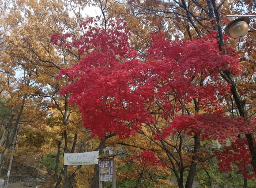 불암산