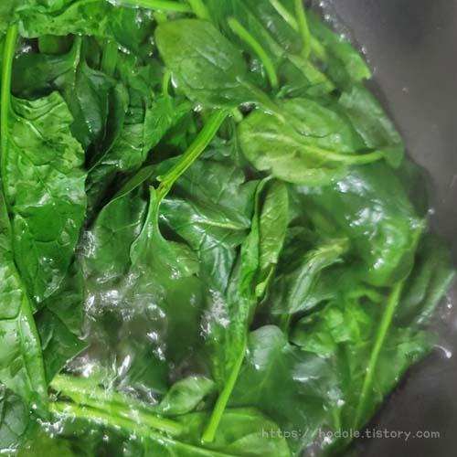 시금치-사진