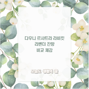 다우니 르샤트라 라비킷 라벤더 잔향 비교 체감