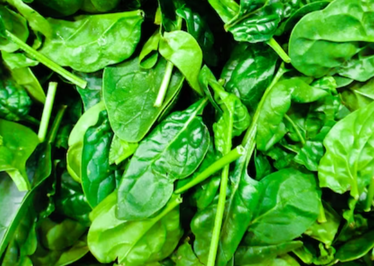 역류성식도염에 좋은 음식