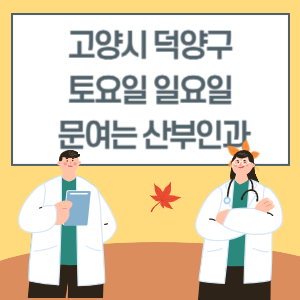 고양시 덕양구 토요일 일요일 산부인과 진료 문여는 병원 리스트