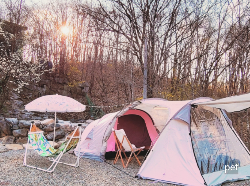경기-연천-아미골캠핑장-예약-방법-애견-동반-가격-주소-시간-후기