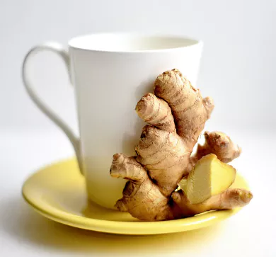 무릎-관절에-좋은-음식-건강