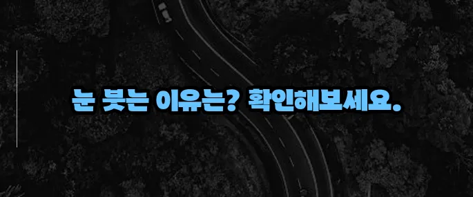 눈이 붓는 증상 원인과 대처법 (+자가진단 팁)