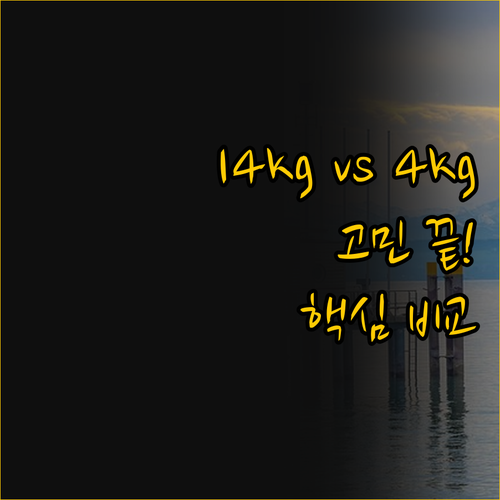 사업과 일상 사이, 건조기 선택이 고..