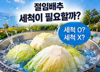 2026 절임배추 사전예약 20kg 가격 비교와 예약 시기&amp;#44; 김장 준비 방법 총정리 