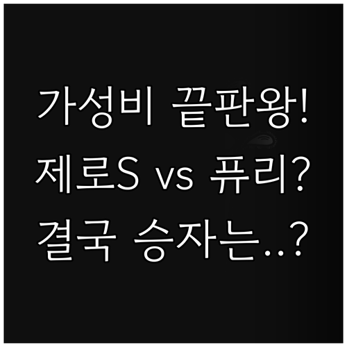 가성비 끝판왕 위닉스 제로S vs L..