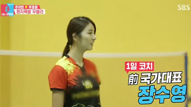 배드민턴 선수 이력