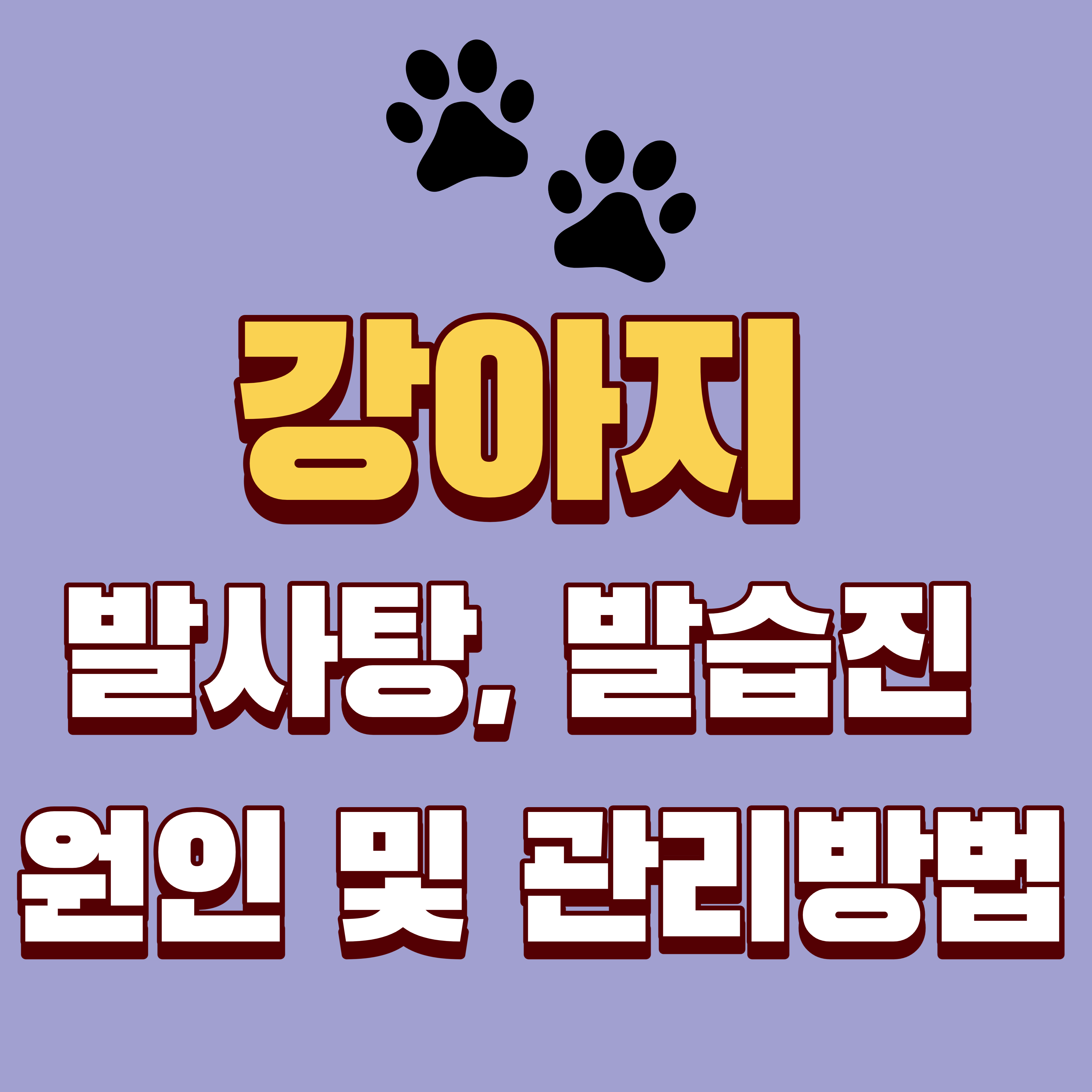 강아지 발사탕! 발습진의 원인과 해결방법