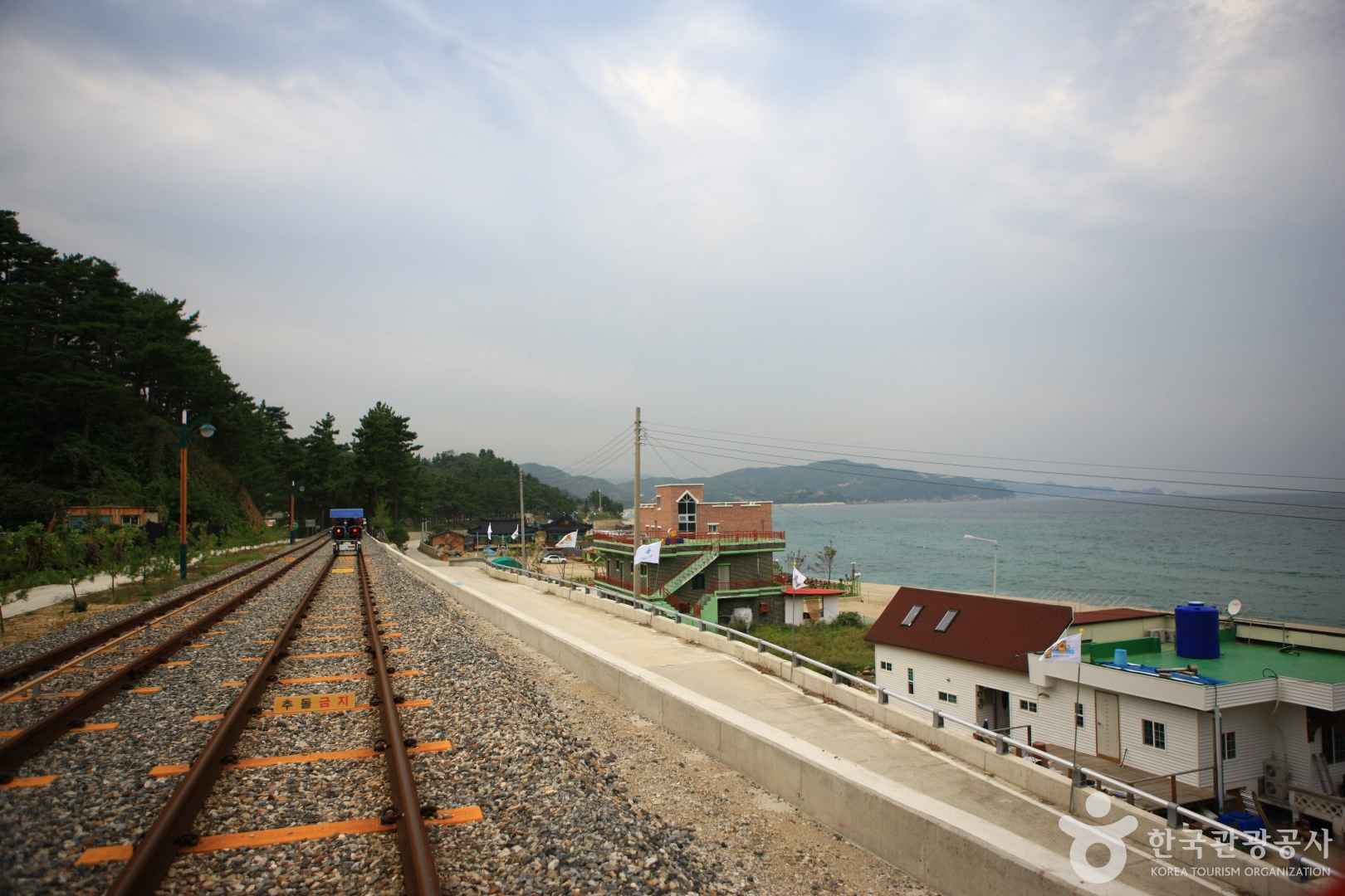 삼척 해양레일바이크