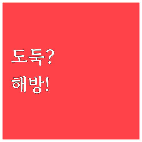 도둑이 들어도 불안하지 않은 꿈, 해..