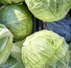 역류성식도염에 좋은 음식 영양제 식단