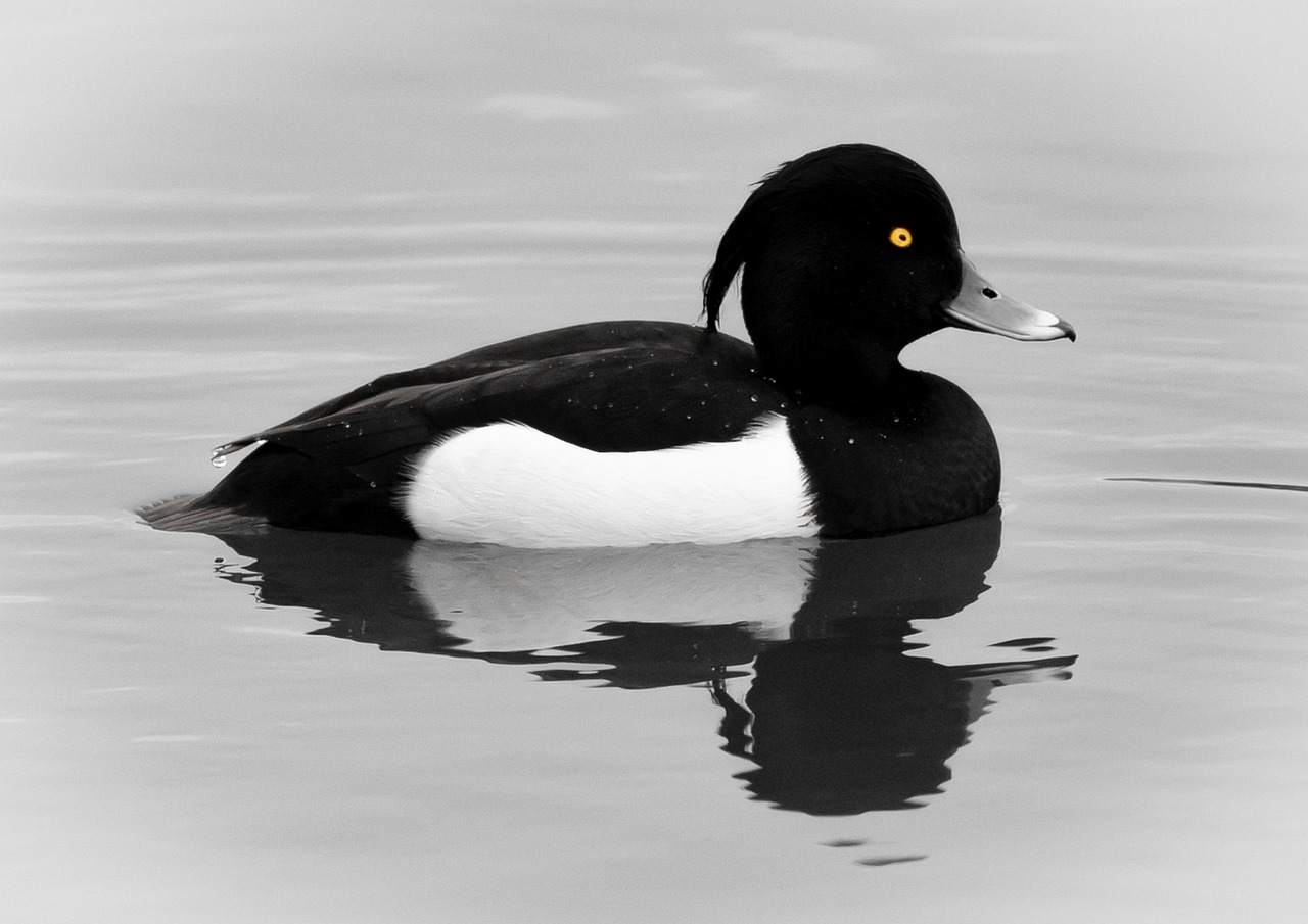 유류분 계산