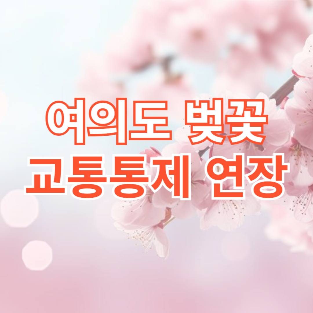여의도벚꽃 교통통제 연장