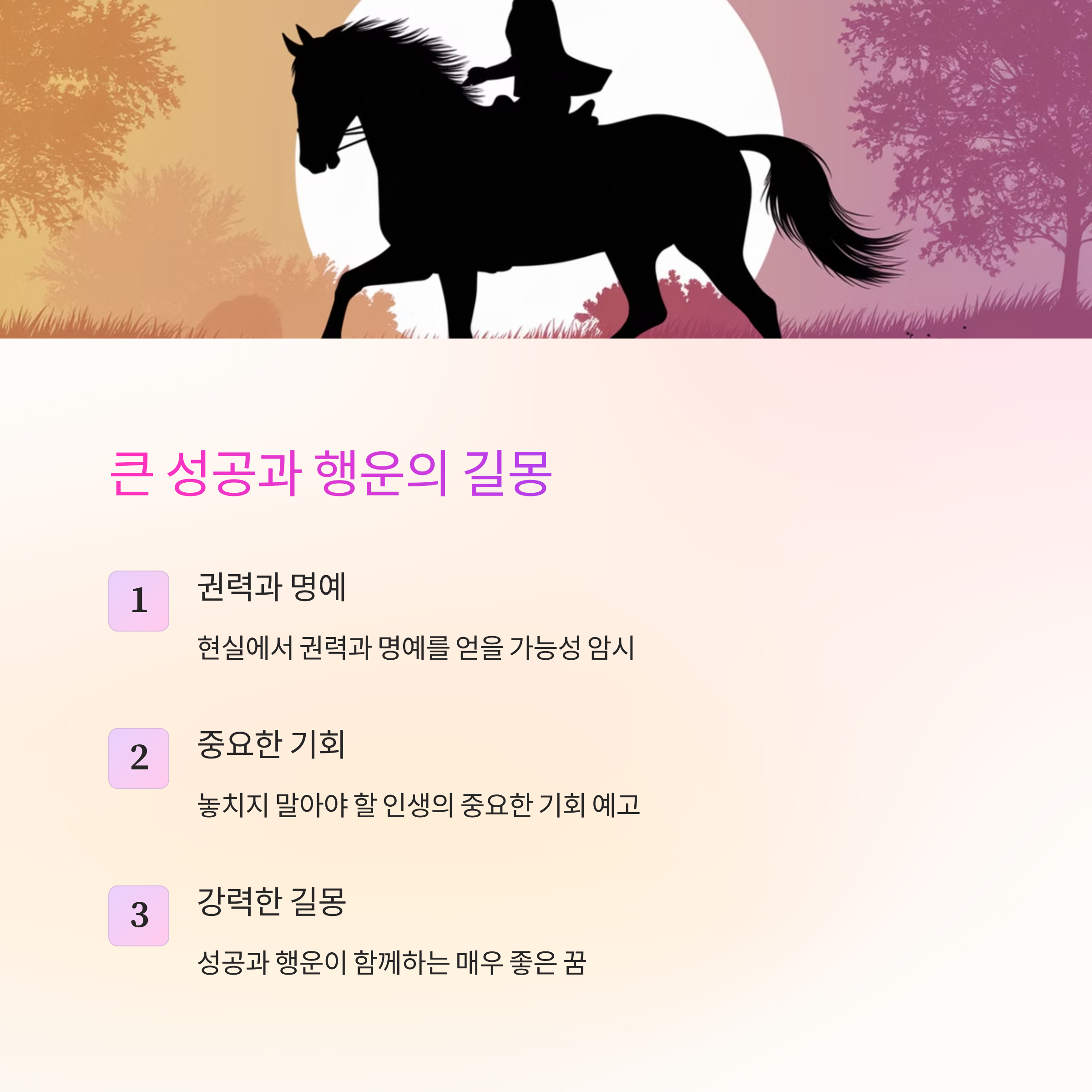 강한 말 백마 흑마 등을 타는 꿈