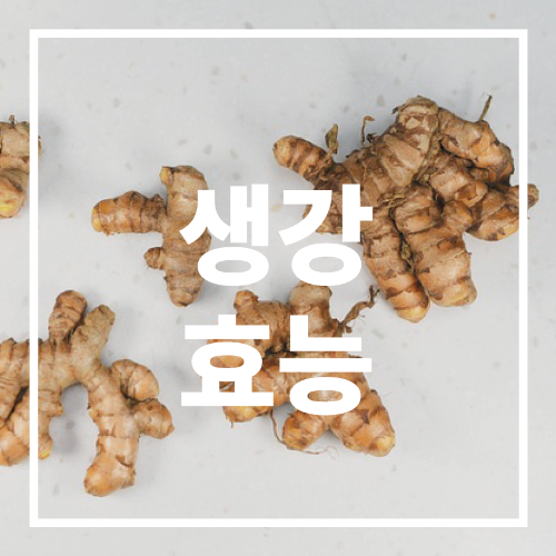 생강 효능