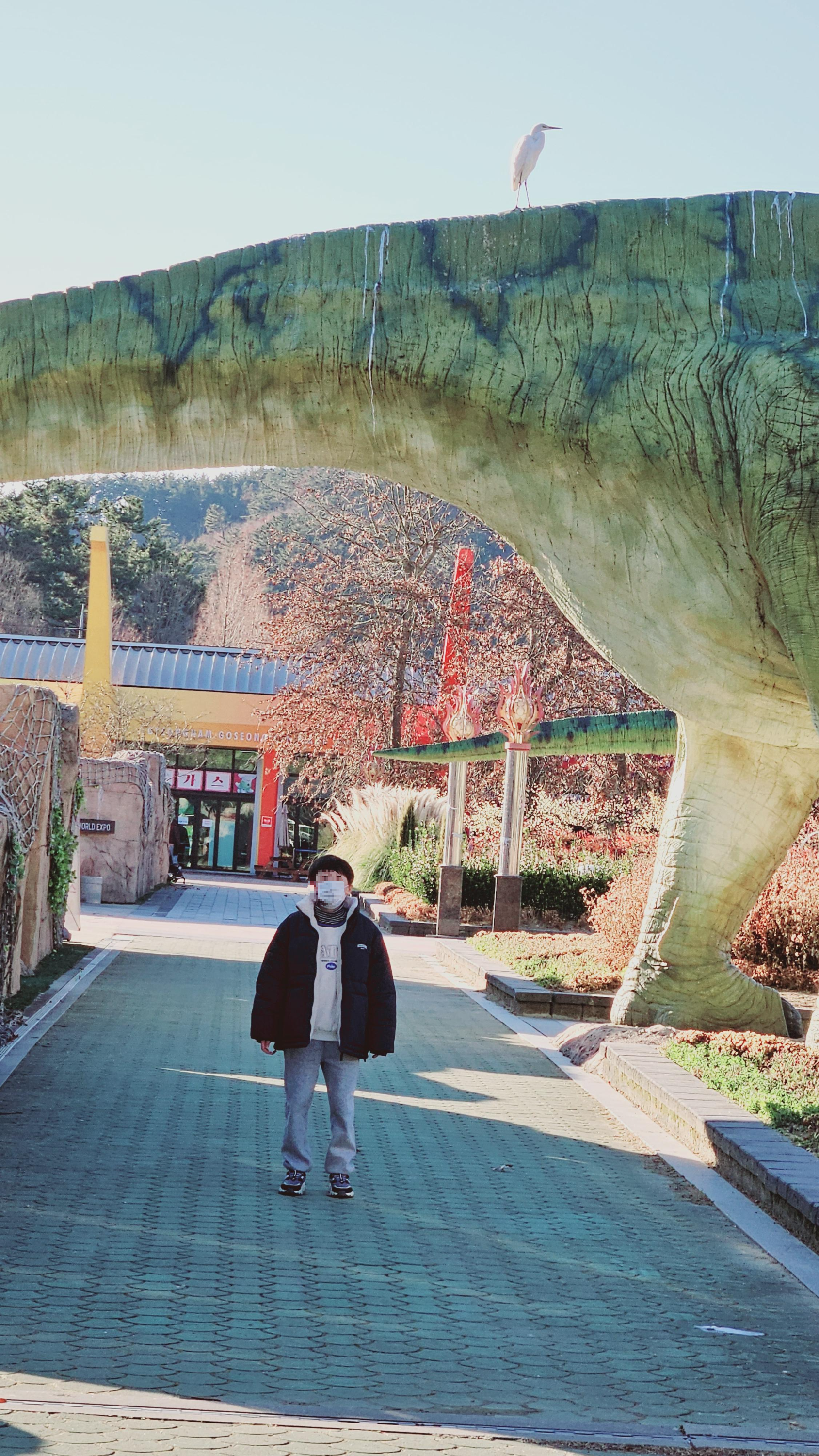 고성당항포랜드