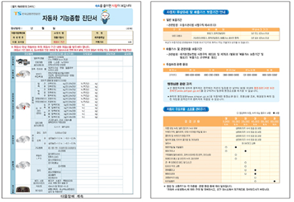 자동차검사, 검사결과 설명