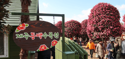 제주 동백 수목원
