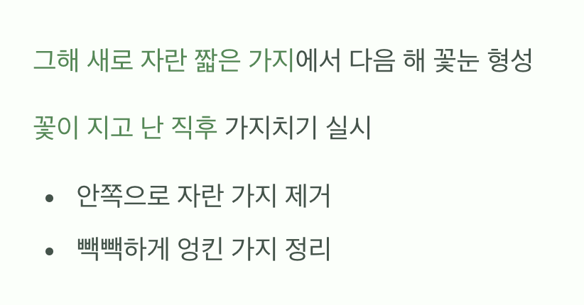 욕심을 버려야 꽃이 보이는 가지치기