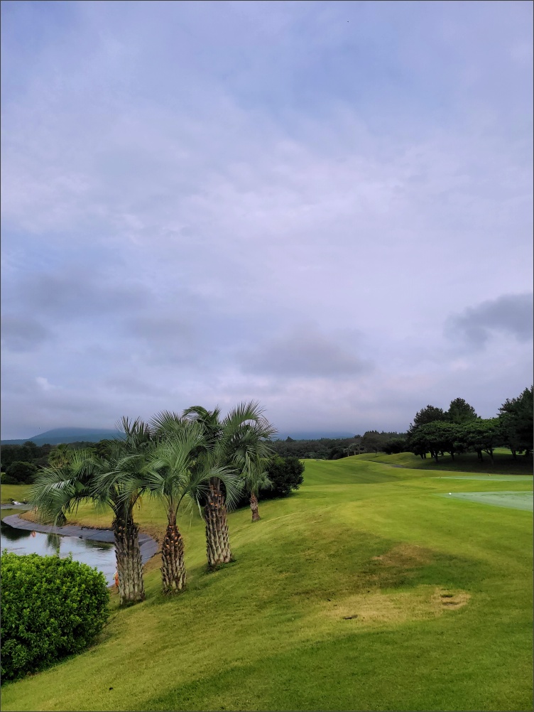 해비치CC-라운딩-멋진풍경