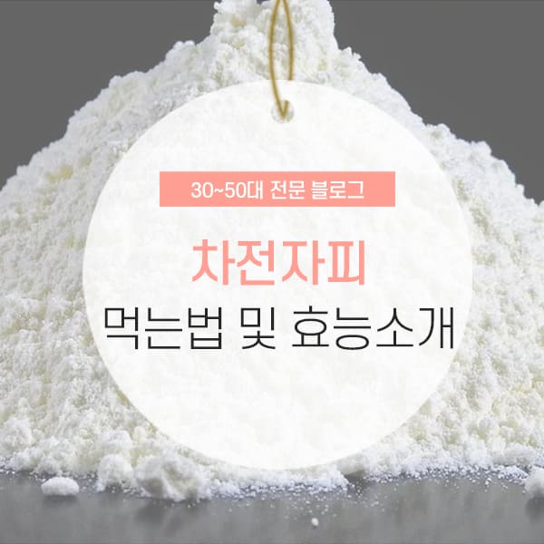 차천자피 먹는법 차전자피 먹는법 및 효능 소개 컨텐츠