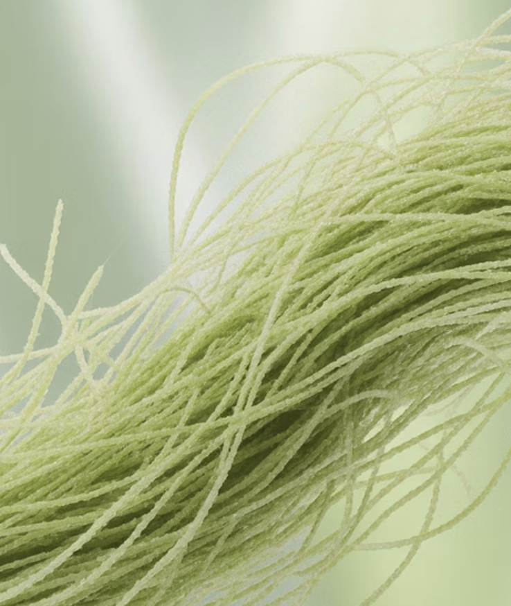 비밀 병기 하나&amp;#44; &amp;#39;식이섬유&amp;#39; 폭탄