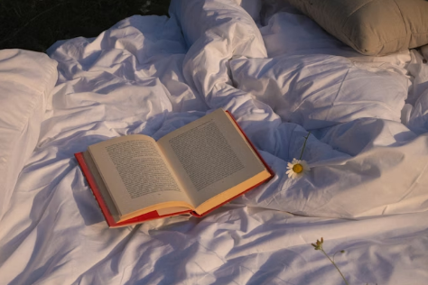 슬로우 라이프가 바꾼 나의 시간 관리법