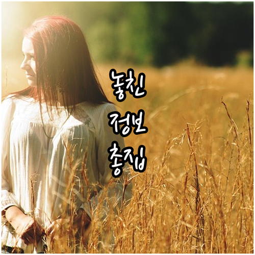 2025 보성군 노인 장기요양 본인부..