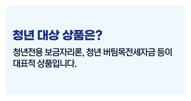 대출정부지원총정리-이미지3