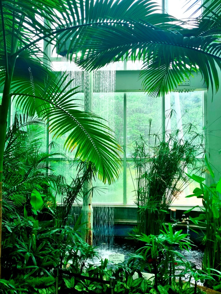 팔방미인 파주 문지리 535 카페 매력 포인트: 드넓은 논밭 뷰와 초록을 담은 실내 식물원 