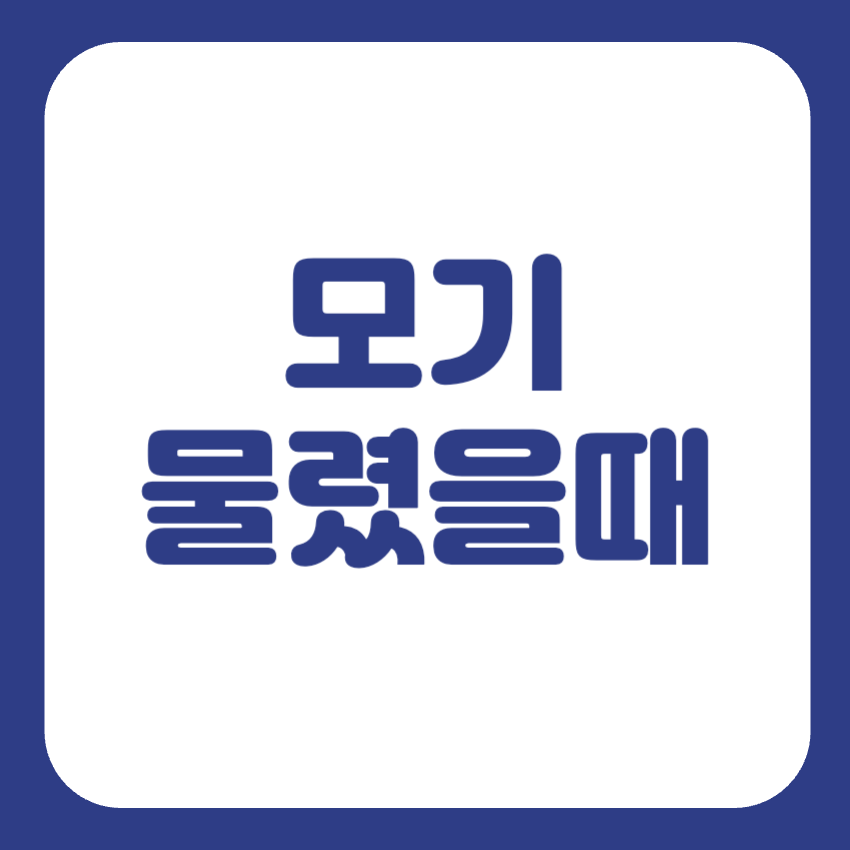 모기 물렸을때