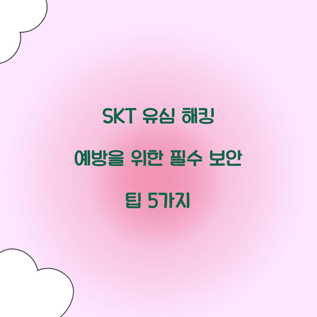 SKT 유심 해킹 예방