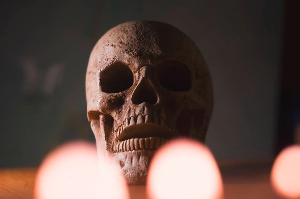 더라스트오브어스시즌2 관련 사진