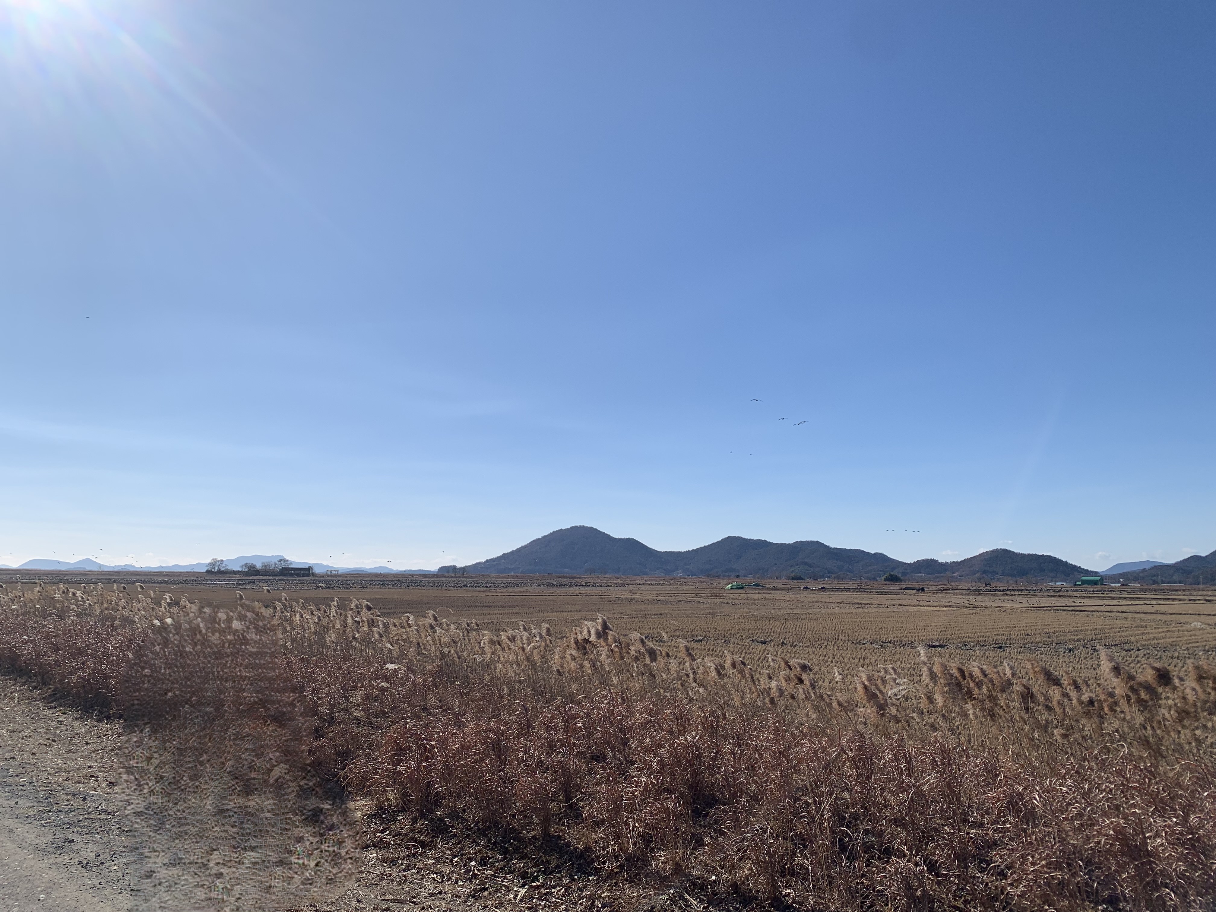 KTX 자유석 예약부터 이용방법 알아보기